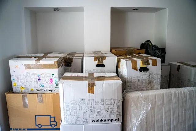 Preparing Moving Day illustration